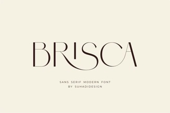 Brisca Font: Versatile Geometry for Modern Ui Design